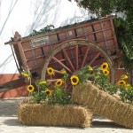 cortijo celebraciones