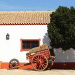 cortijo celebraciones