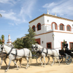 cortijo celebraciones