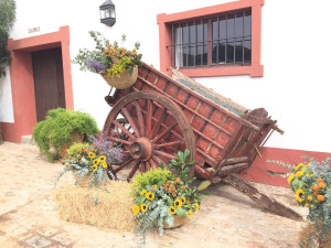 detalles-boda-cortijo-chamorro