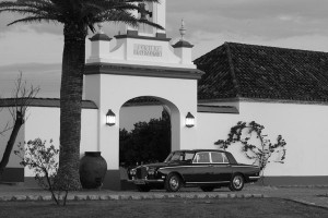 coche-boda-sevilla-chamorro