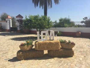 boda-rustica-hacienda-sevilla