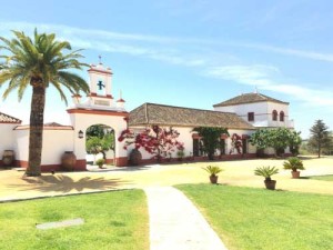 celebrar-comunion-hacienda-sevilla