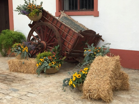 cortijo1