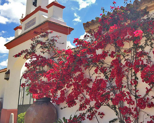 flores hacienda bodas sevilla