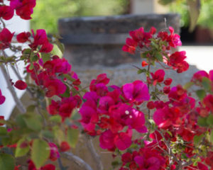 flores hacienda bodas sevilla