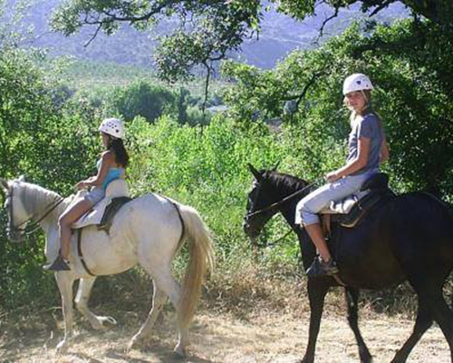 caballo hacienda sevilla
