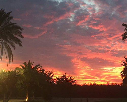 atardecer fincas bodas sevilla