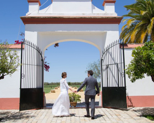 novios celebraciones sevilla