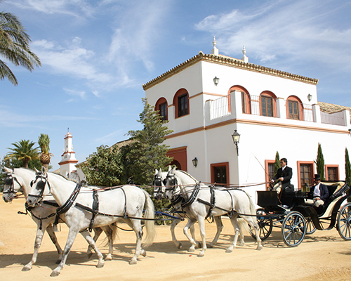 paseo caballo hacienda sevilla