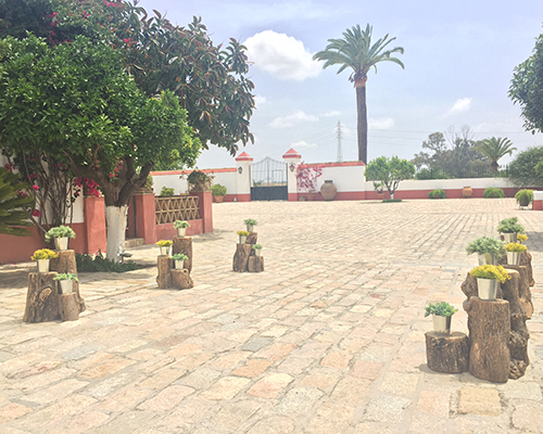 pasillo troncos hacienda bodas