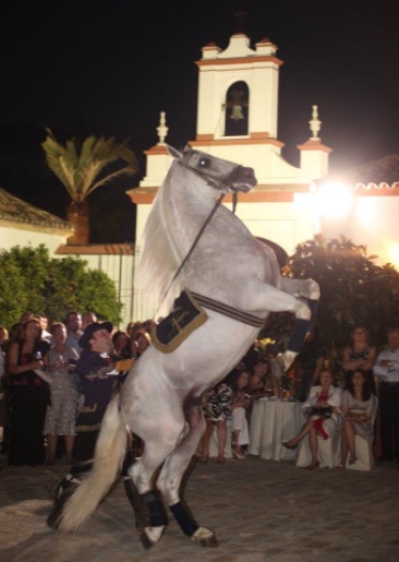espectaculo ecuestre hacienda sevilla