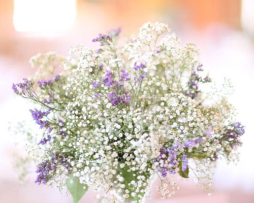 flores blancas hacienda sevilla