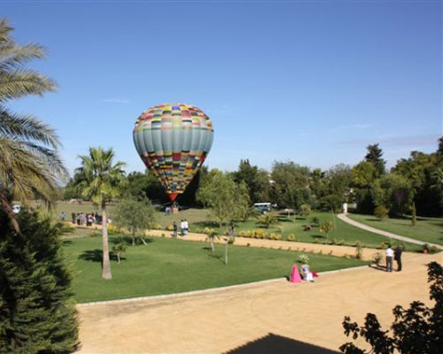 globo hacienda sevilla