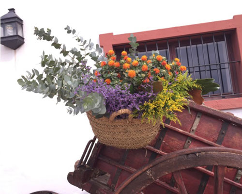 flores hacienda sevilla