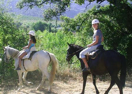 caballo naturaleza hacienda sevilla