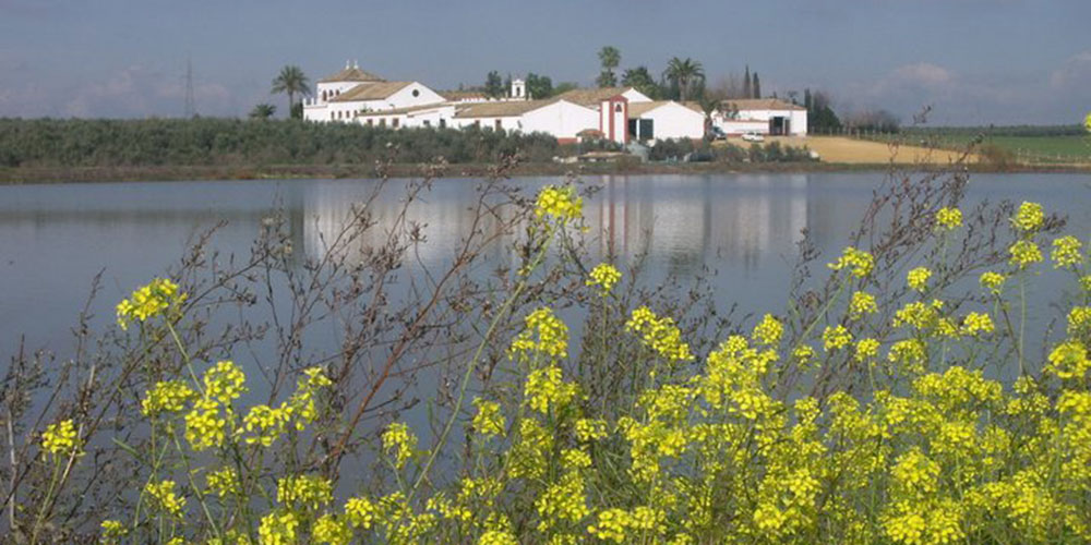 lago hacienda sevilla