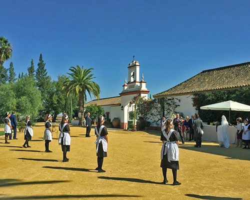 servicio hacienda sevilla